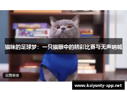 猫咪的足球梦：一只猫眼中的精彩比赛与无声呐喊